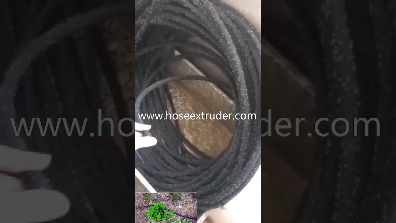 mangueira de imersão,manguera de remojo,tuyau de trempage