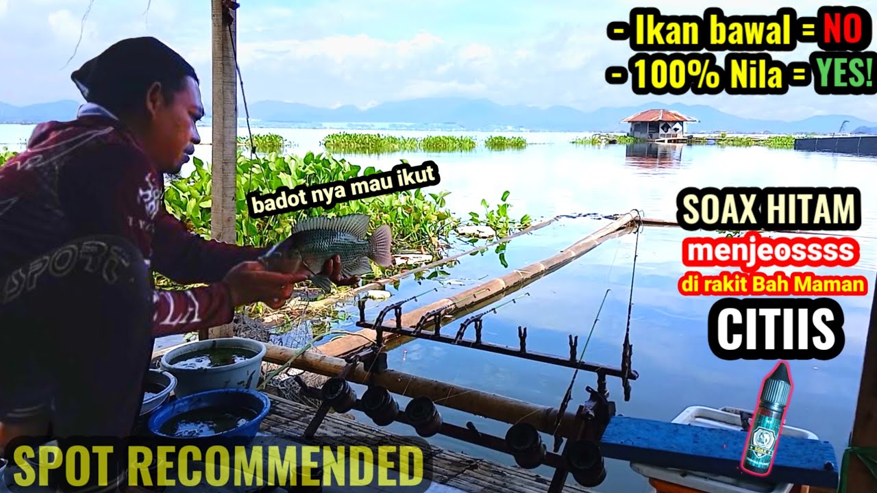 Ikan nila semua,bro! Serangan nya bikin kewalahan! || MANCING CIRATA RAKIT BAH MAMAN CITIIS