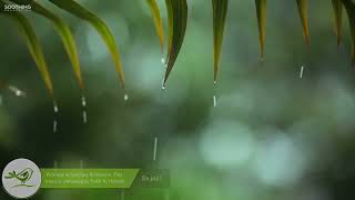 You \& Me Relaxing Piano Music \& Soft Rain Sounds For Sleep \& Relaxation
