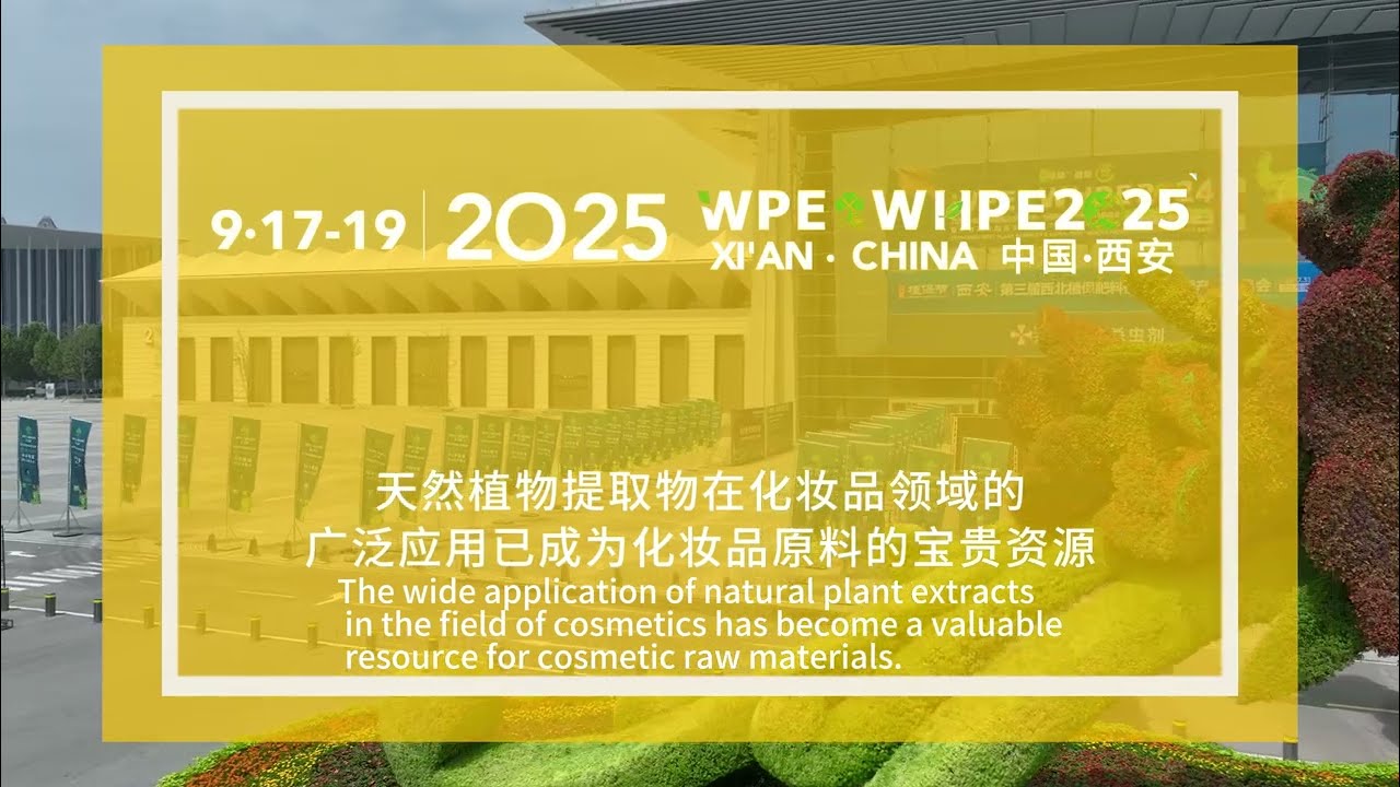 WPE&WHPE 2025