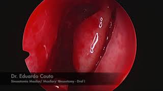 Eduardo Couto-59