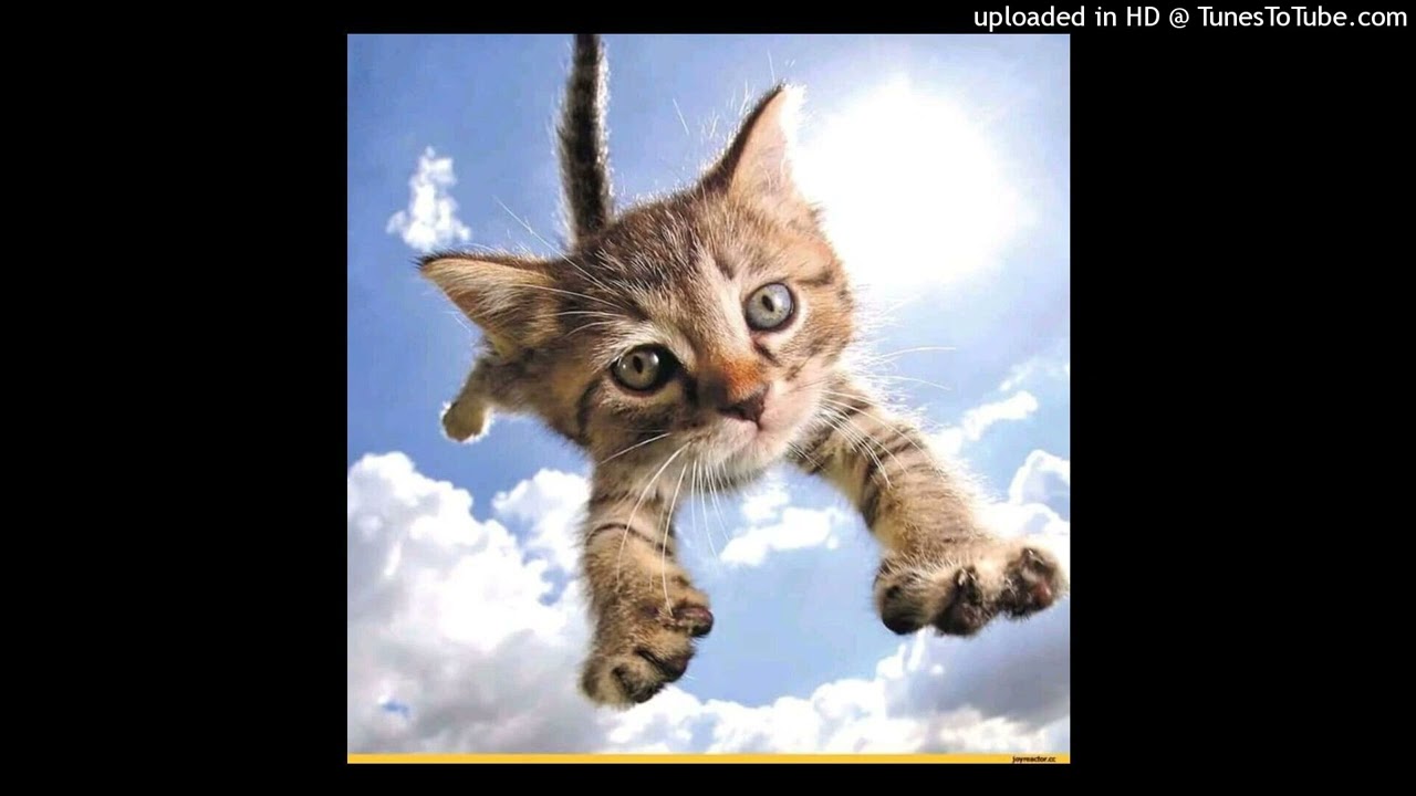 free slayr halfblood x superkick ewoewo type beat