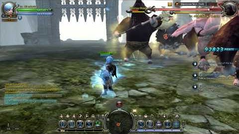 dragon nest manti nest(hell) solo lvl 40 pally part 2