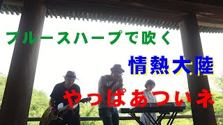 【ブルースハープ】情熱大陸のテーマ　お寺にて