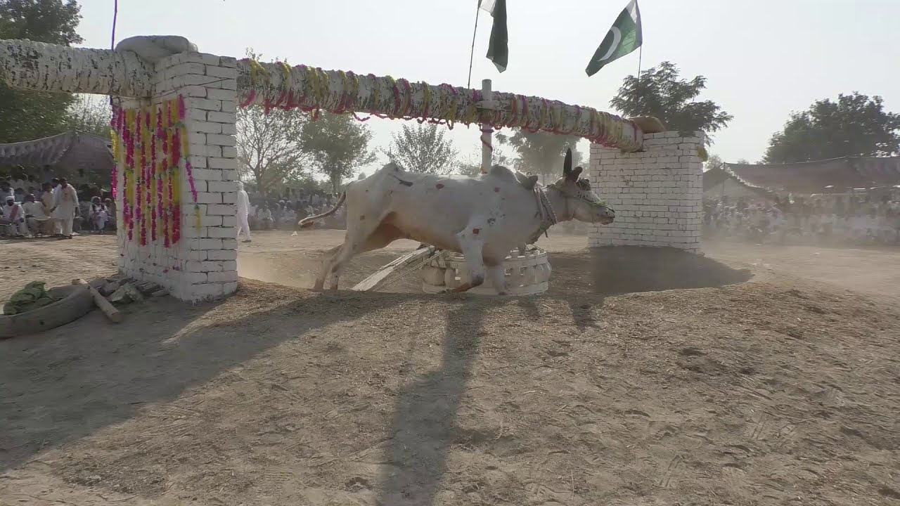 Baisakhi Mela Festival in Punjab Pakistan 2020 Layyah belloon ka mela