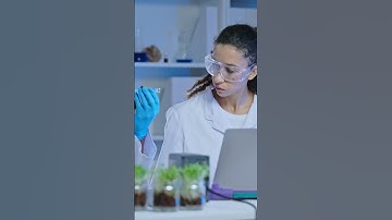 Unleashing the Data Vault: DNA, the Ultimate Storage Medium