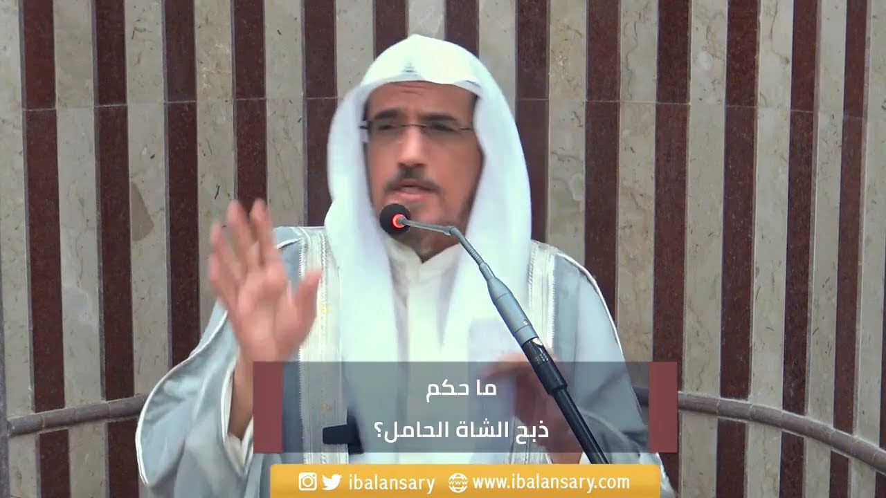 ما حكم ذبح الشاة الحامل؟ | الشيخ ابراهيم الانصاري