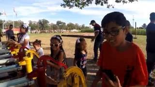 Fall fun at P-6 Farms