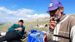 Baş Çobanların muhabbeti :)  :)