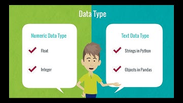 Hello! Python & Data Science for Your Business #3: Exploratory Data Analysis (EDA)