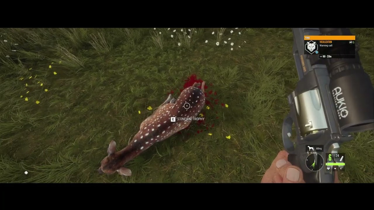 The Hunter, Call of the Wild  - Puma problems