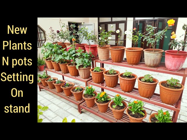 Plants n planters arrangement on new plant stand(hindi), plant stand  setting ideas - YouTube