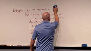 Professor Long - 2401 L1.9, Passive Transport, Osmosis and Diffusion, Tonicity