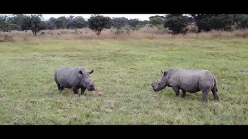 Zimbabwe A World Of Wonders Destination Video 2019 (Long Version)