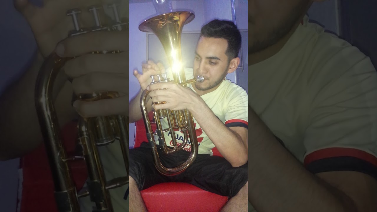 Tutorial Armonía (principiantes) parte 4. (Escalas)