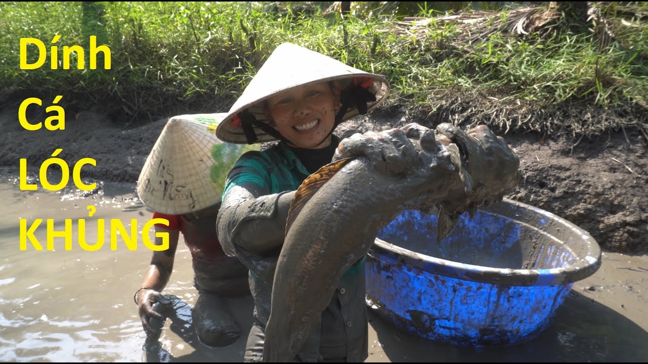 1174 / Tát hầm lâu năm bắt toàn cá khủng (phần II)