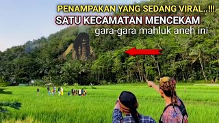 Beware, the strange creature that is currently viral has entered the Central Java area,