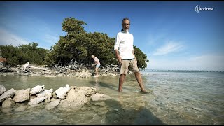 'Mi isla es mi planeta' o la historia de una pareja que quiere salvar su isla del #cambioclimático