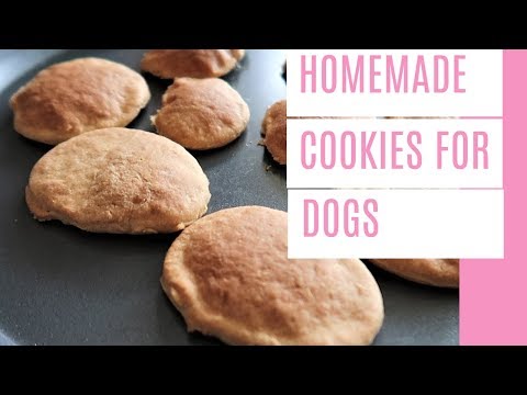 homemade-cookies-for-dogs-|-how-to-make-homemade-dog-cookies-|-very-easy-and-simple-dog-cookies