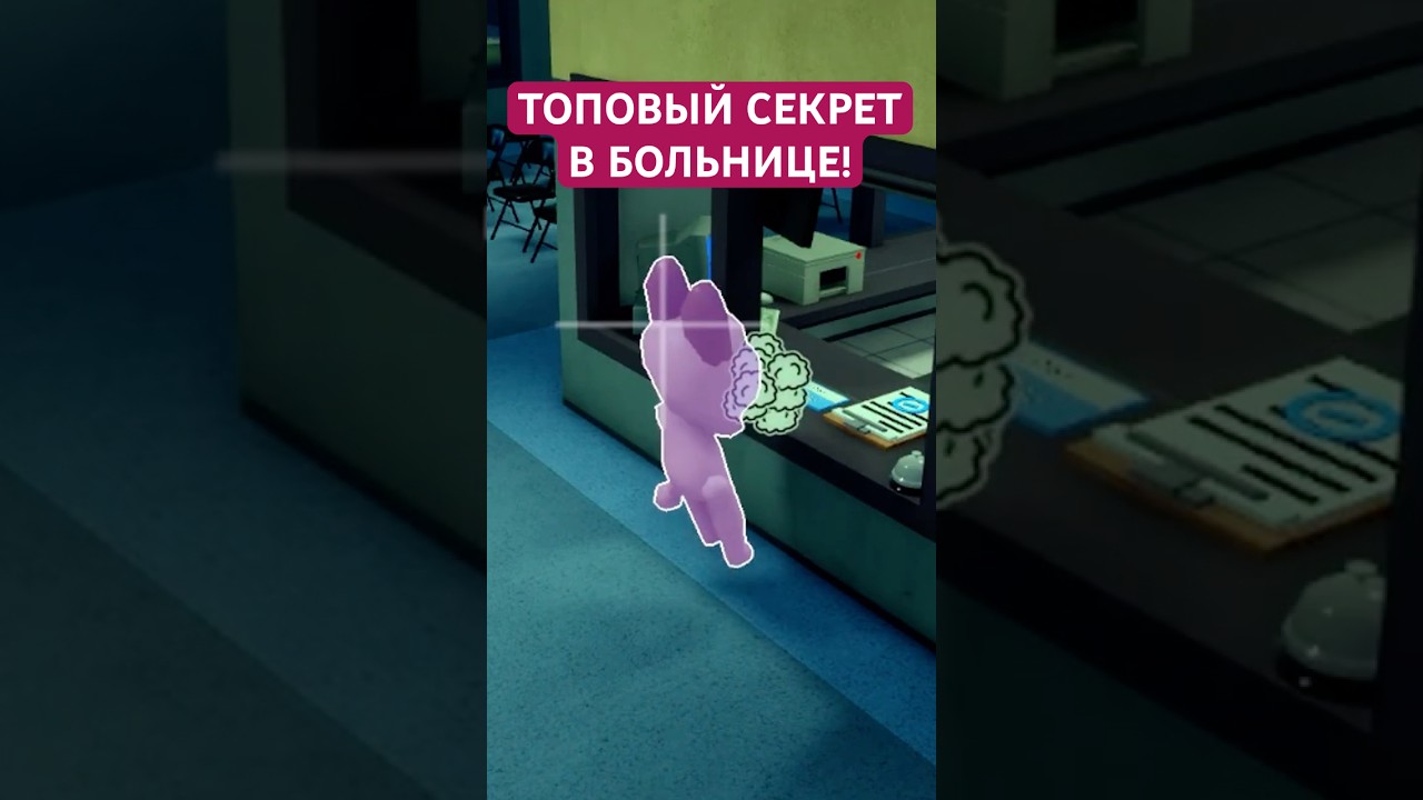 БЕСКОНТАКТНОЕ ЛЕЧЕНИЕ В БОЛЬНИЦЕ ЖИВОТНЫХ!