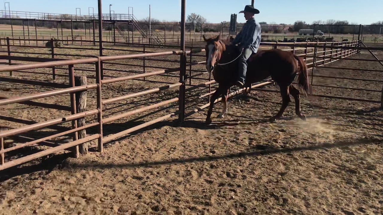 Kansas kill pen YouTube