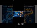 DNA vs RNA #neet#ncert