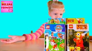 Конструктор: Щенячий патруль и миньон в костюме железного человека! Конструктор: Щенячий патруль и миньон в костюме железного человека!