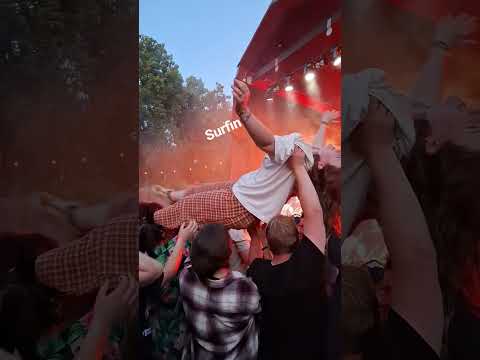 björnarna at parksnäckan 4/7-26 det är så härligt att gå i solen