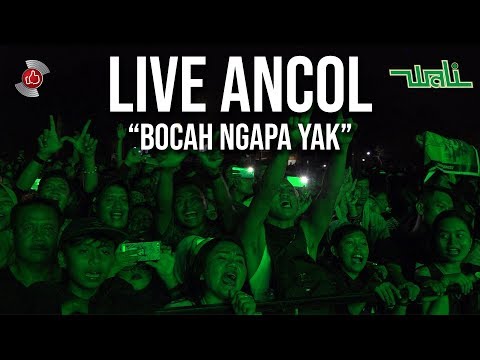 Wali - Bocah Ngapa Yak (Karaoke) | GMusic