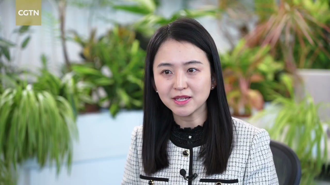 Dutch action on Nexperia accelerates supply chain regionalization: legal expert