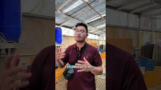 Who says betta fish are no longer popular?! Watch the video! #fishkinian #cupangfish #bettafish #...