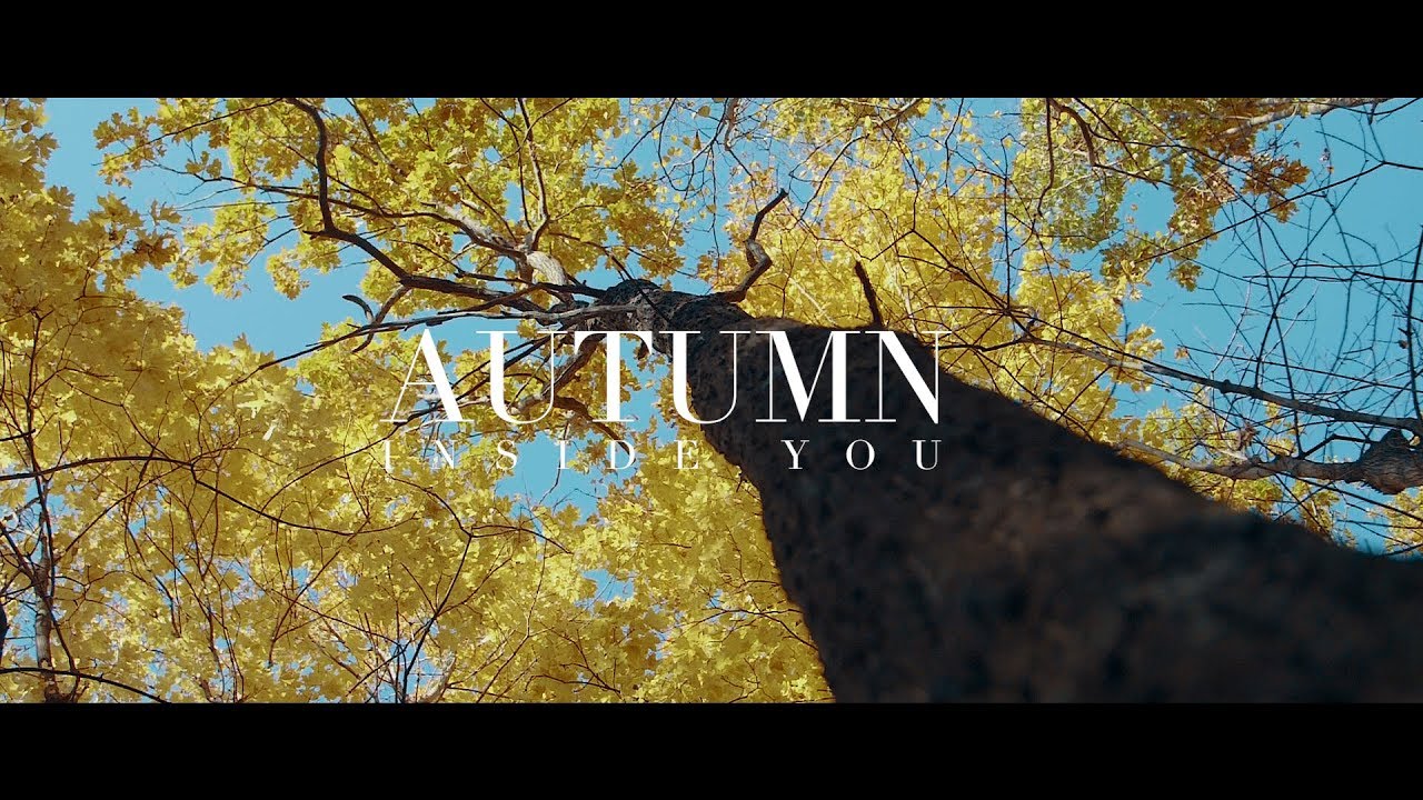Autumn Inside You | Panasonic GH5 (180 fps)