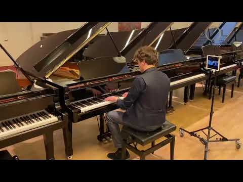 Piano en Vleugels Kopen  Live met onze Adviseurs  Bol Piano's en Vleugels Nederland