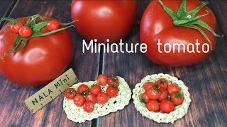 Miniature clay tomato 🍅 clay art🍅miniature dollhouse 🍅polymer clay