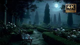 You’re Alone in the Moonlit Garden at Midnight | White Roses, Whispering Wind & Haunting Harp