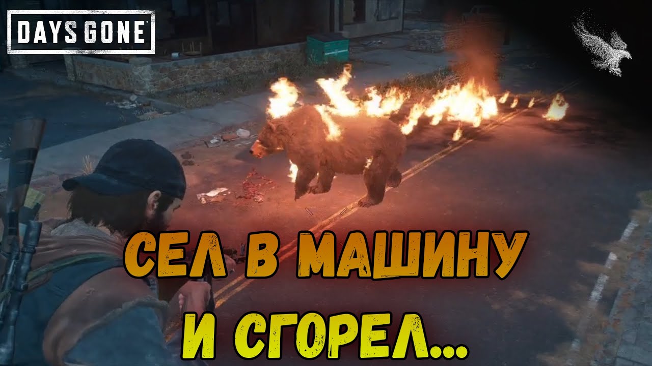 Медведь сгорел в машине