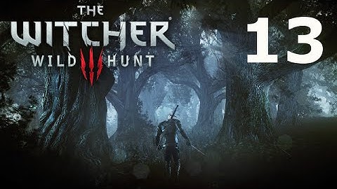 Witcher 3 Wild Hunt Walkthrough Gameplay Part 13 - Family Matters - PS4 XBOX ONE PC