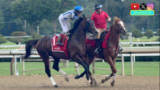 Parchment Party Aims to Continue Marathon Dominance in Thrilling Edition of 2026 Birdstone Stakes