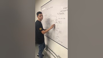 Video parqueadero automatizado Arduino