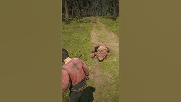 v147 Simulate Survival skills #Shorts