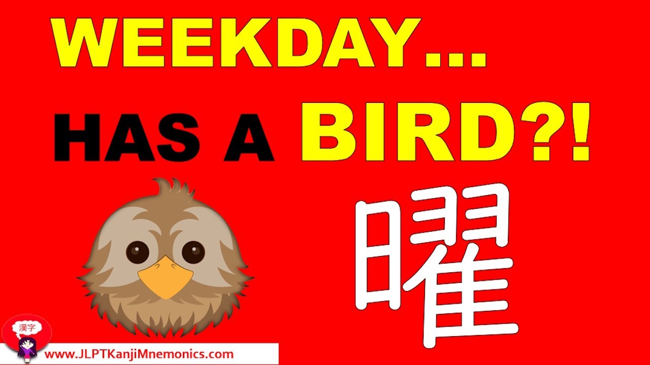 ∞ピクルス∞様　日曜日 Bird + Sun = 'Weekday'? The Truth Is Crazy!