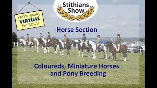 Coloureds, Miniature Horses & Pony Breeding