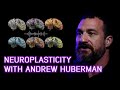 What is Neuroplasticity? Professor Andrew Huberman explains