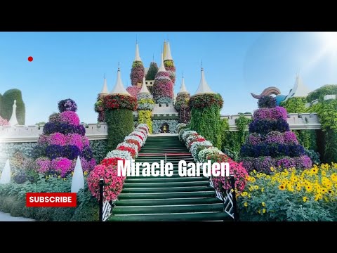 Dubai-Miracle Garden-the stunning floral wonderland !!
