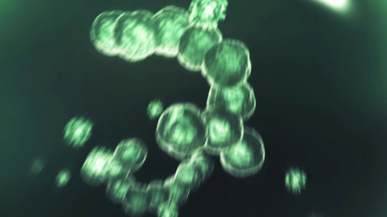What a cough spreads - YouTube