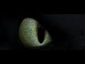 Drachenzähmen Leicht Gemacht: Erstes Zusammentreffen Von Ohnezahn Und Hicks - 4K (Abo Spz.) DE