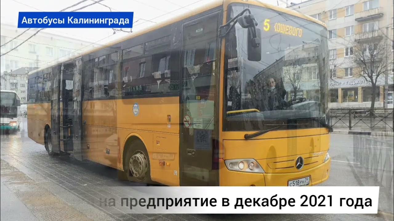 Mercedes автобус 2022