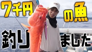釣りいろは×マイファスと釣り対決！買取額7千円の魚釣ったどー！[釣りいろはコラボ #2]