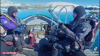 Summer Time In The Arctic Diving Team