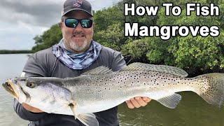 Fishing In Mangroves: How To Catch More Redfish, Snook & Trout